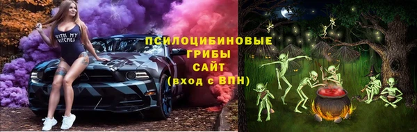 гашик Алзамай