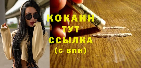гашик Алзамай