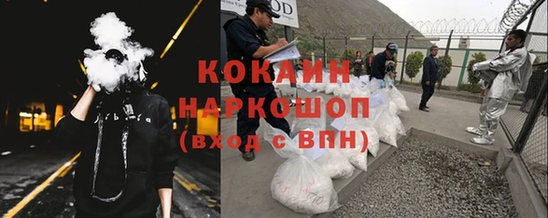 гашик Алзамай