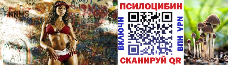 Галлюциногенные грибы Psilocybe где можно купить Константиновск